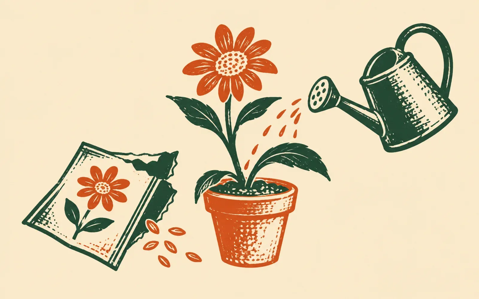 A woodcut of a torn-open seed packet with a flower drawn on it and a few seeds spilling out, the same flower grown tall in a terracotta pot beside it, and a watering can pouring water towards it.